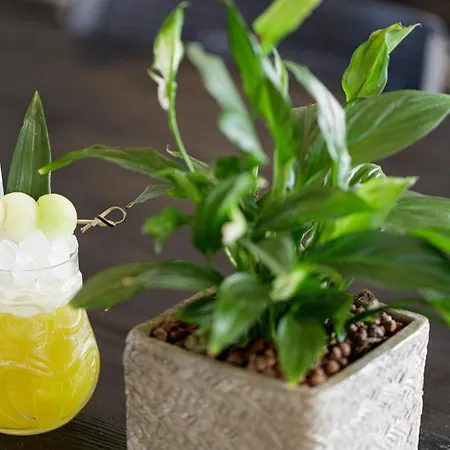 乔恩宫酒店 酒店